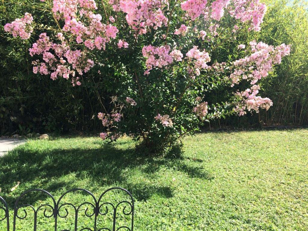 Cottage La Villa Bolero Saint-Cyr-sur-Loire Eksteriør billede