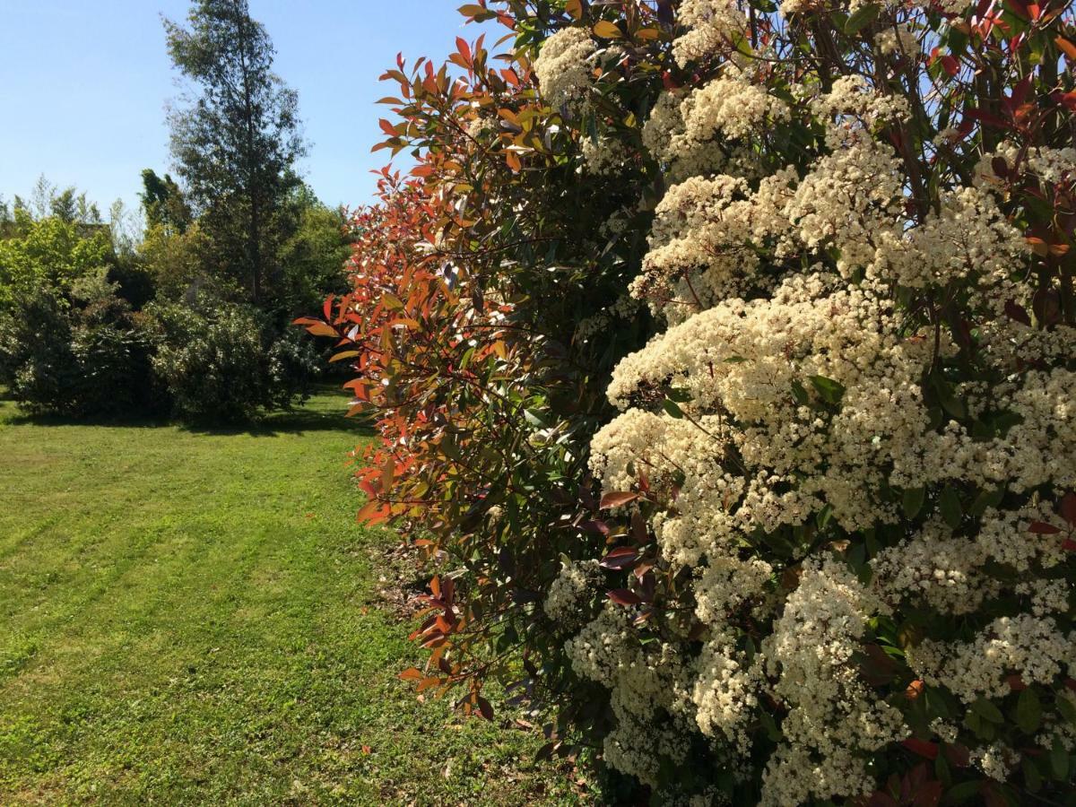 Cottage La Villa Bolero Saint-Cyr-sur-Loire Eksteriør billede